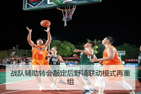 战队辅助转会敲定后野辅联动模式再重组